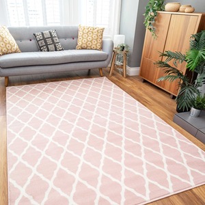 Classic Trellis Living Room Rug