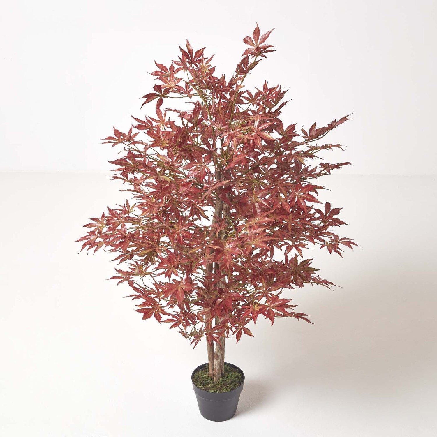 Homescapes Acer Tree in Pot, 120 cm Tall - Red