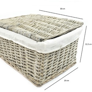  shot 6605399