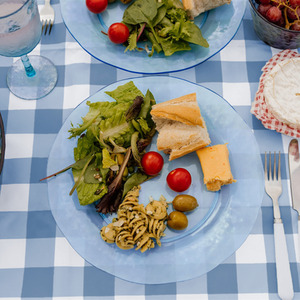 Pack of 6 Acrylic Dinner Plates - BPA-Free and Reusable - Blue