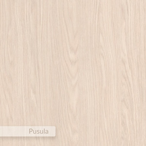  shot 10977035
