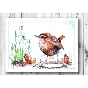 Wren and Snowdrops Framed Art