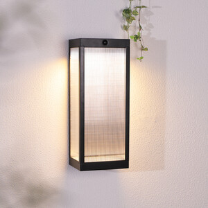 Solar Kaleb Wall Light