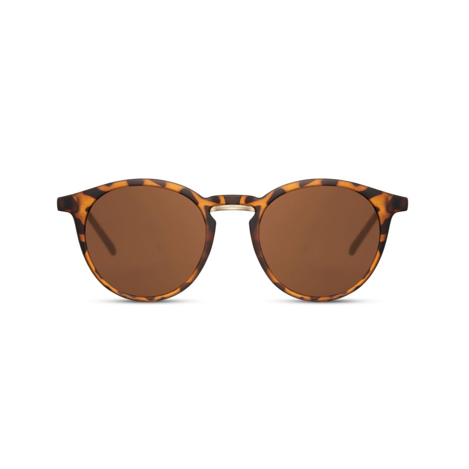 Sunglass Station Equinox Round Unisex Sunglasses - Classic Brown