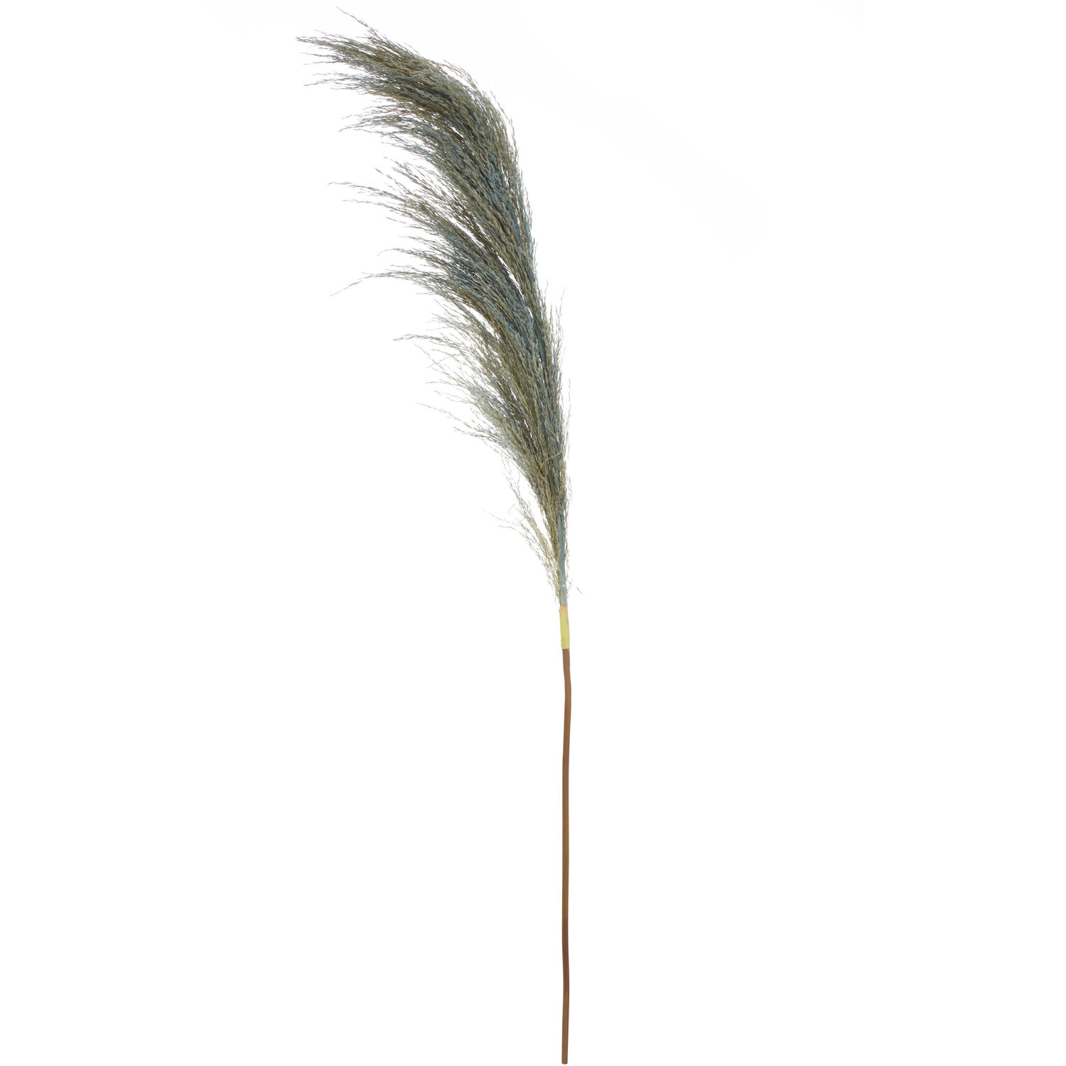 Fiori Blue Tall Pampas Grass Stem - Blue