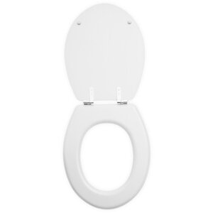 Brooks Matte White Toilet Seat