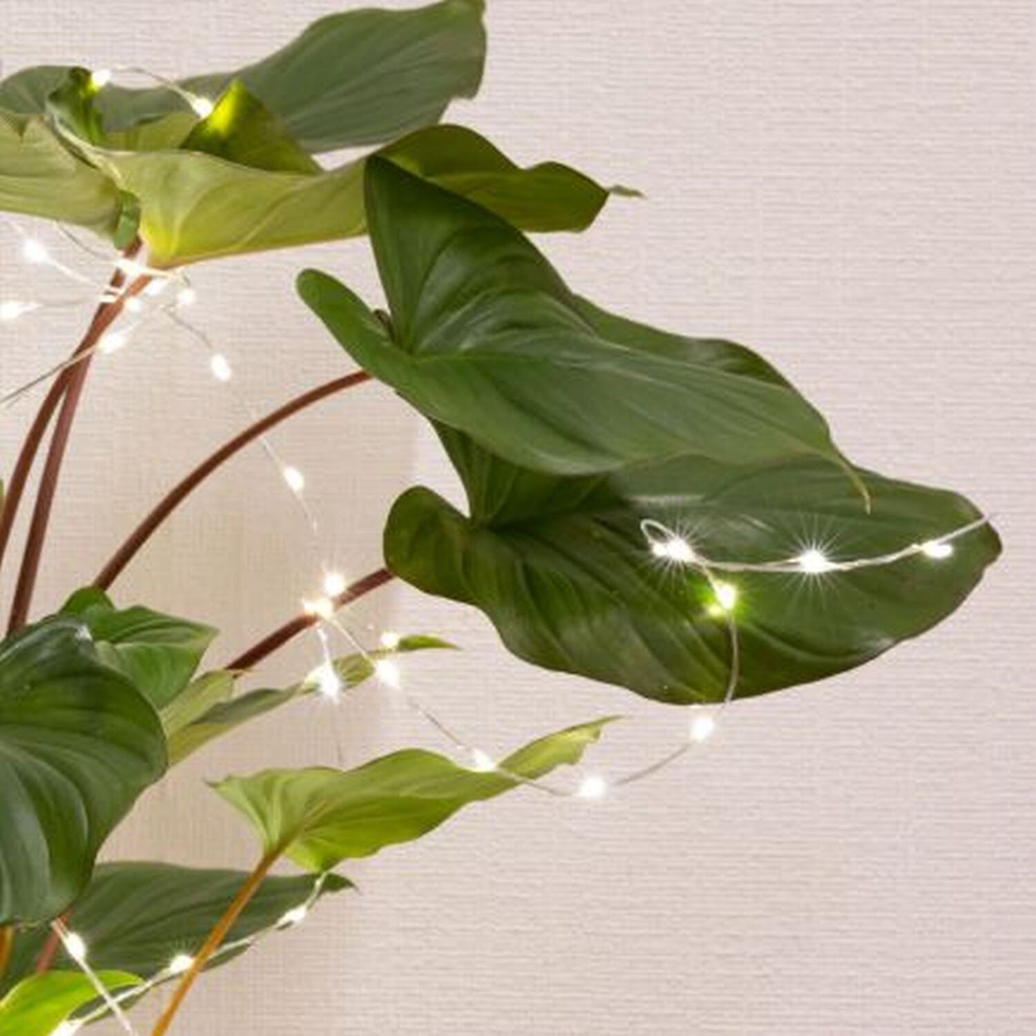 Image of Micro LED Solar Plant Lights Warm&hellip;