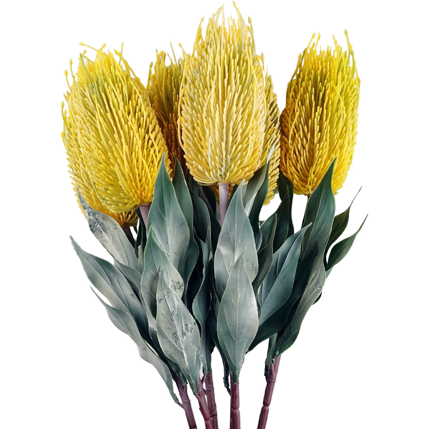 Bunch of Banksia Menziesii Flower Stems Artificial - No pot - Bare Stem