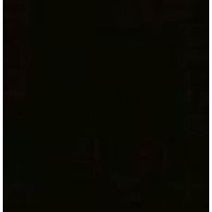  shot 9308156
