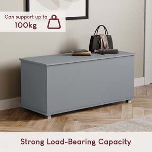 Leon Storage Ottoman, Grey (Toy Box)