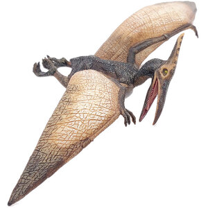 PAPO Dinosaurs Pteranodon Toy Figure