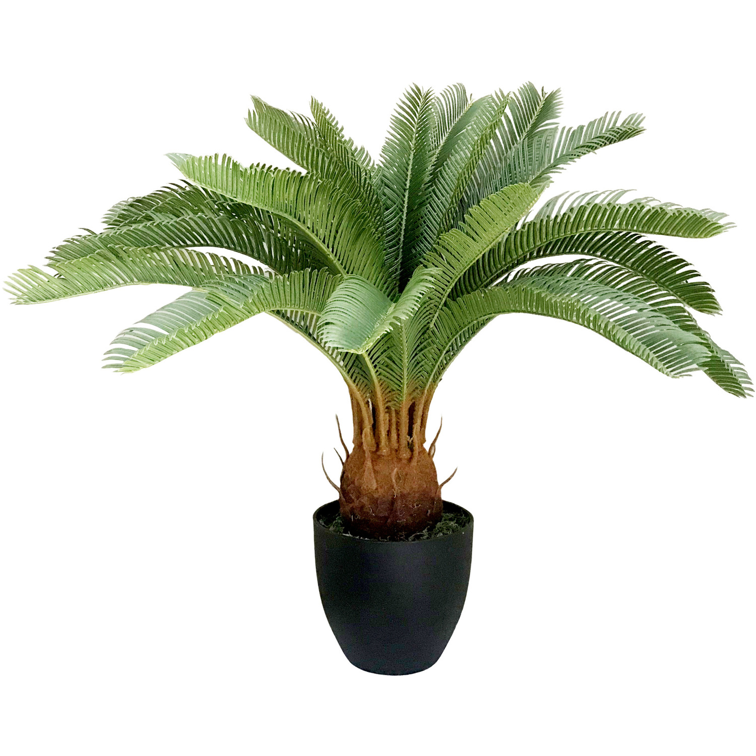 Artificial Deluxe Tropical Cycas Palm Plant - Green