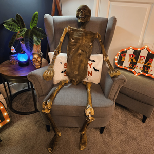 Full Body Halloween Mummified Skeleton with Posable Joint