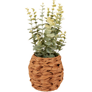 Eucalyptus in Water Hyacinth Basket 40cm