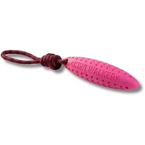 Kiwi Walker Tug Toy