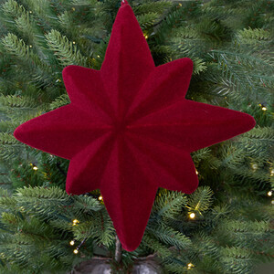 Hanging Flocked Star Decoration