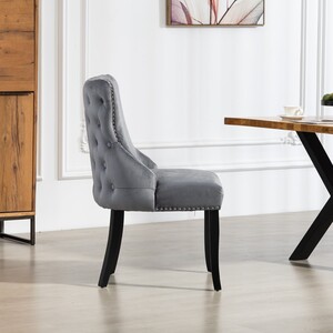 Palata Velvet Fabric Dining Chairs - Set of 2