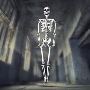 Halloween Decoration Life Size Poseable Skeleton