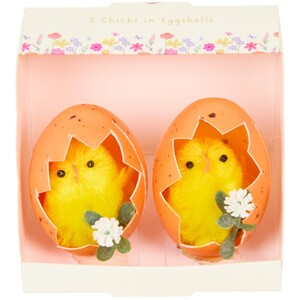 Two Chicks In Eggshells