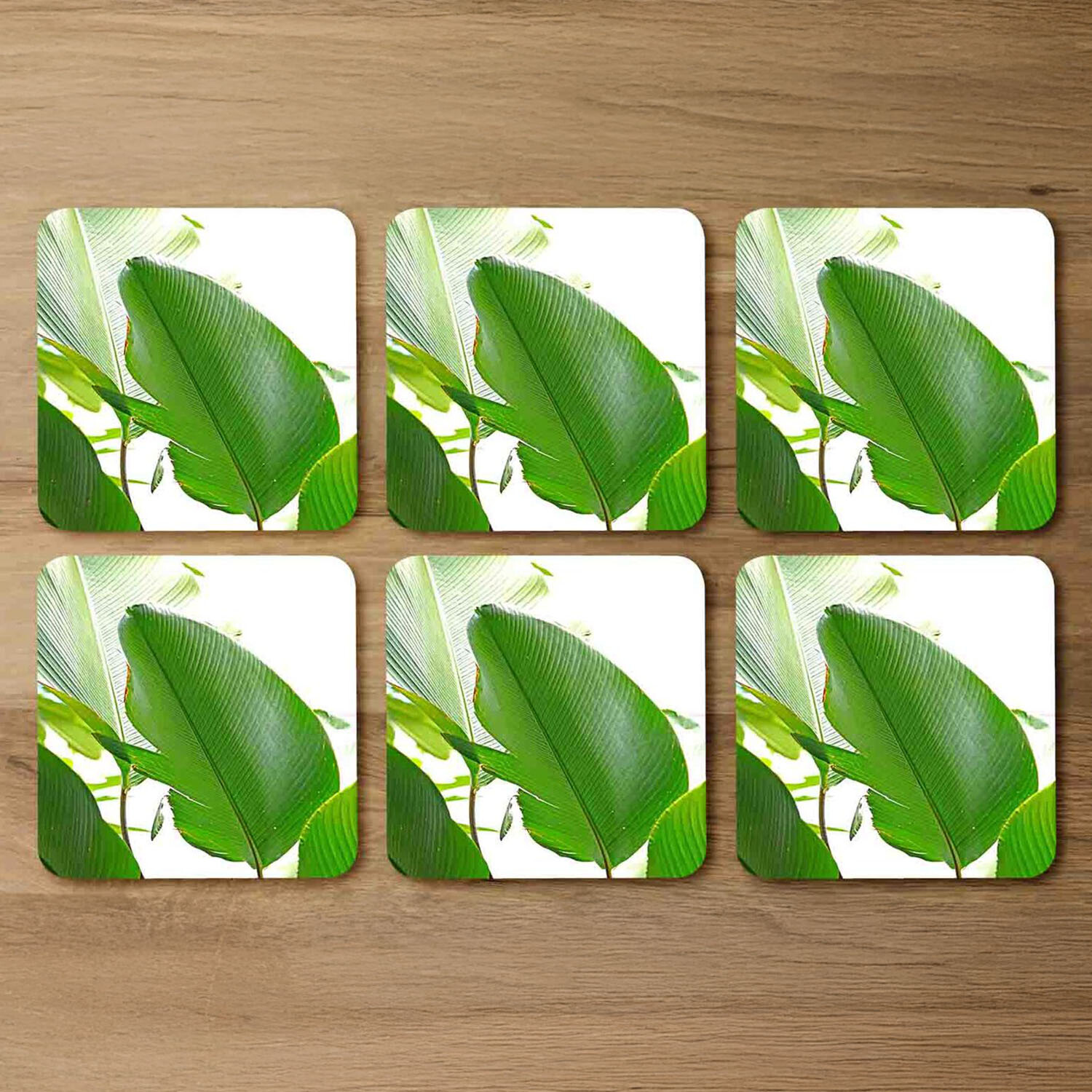 Image of Green Leaf Coaster Set - Green