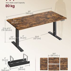 Electric Standing Desk, 160 x 80 cm, USB C Port, Cable Tray