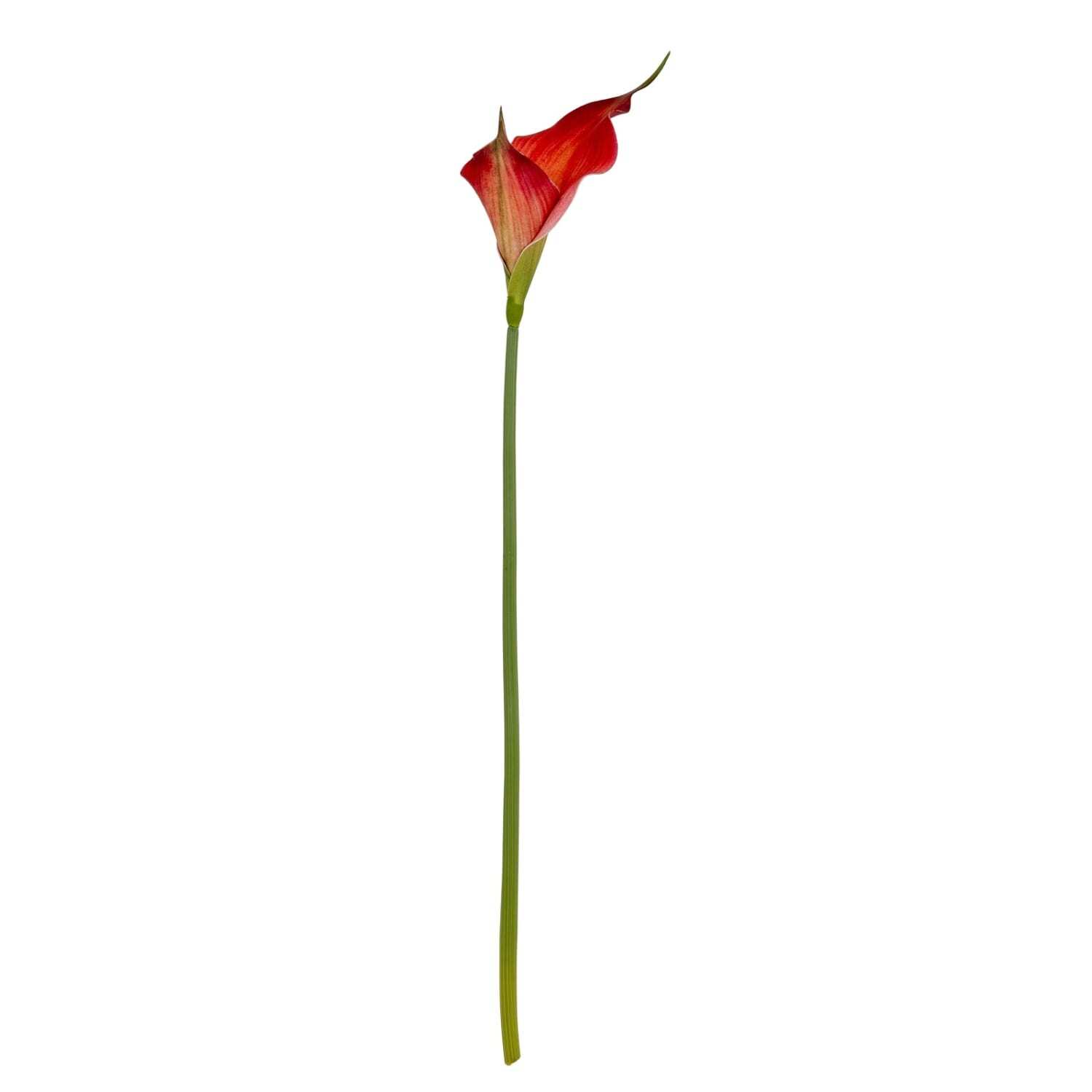 Fireball Calla Lily Artificial Silk Stems Set of 3 - Red
