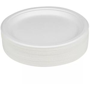 24.5cm Bagasse Disposable White Paper Plates  Set - Set of 100