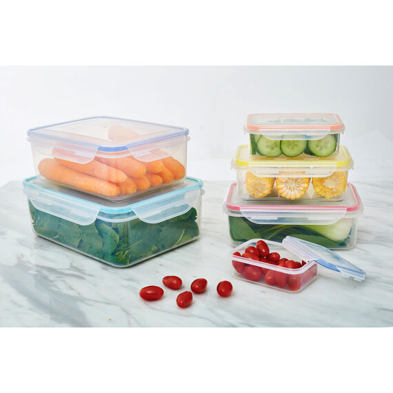 Herrela 6 Piece Rectangular Food Containers with Airtight Lids