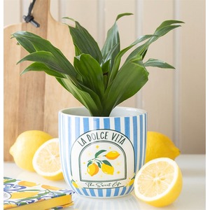 La Dolce Vita Plant Pot