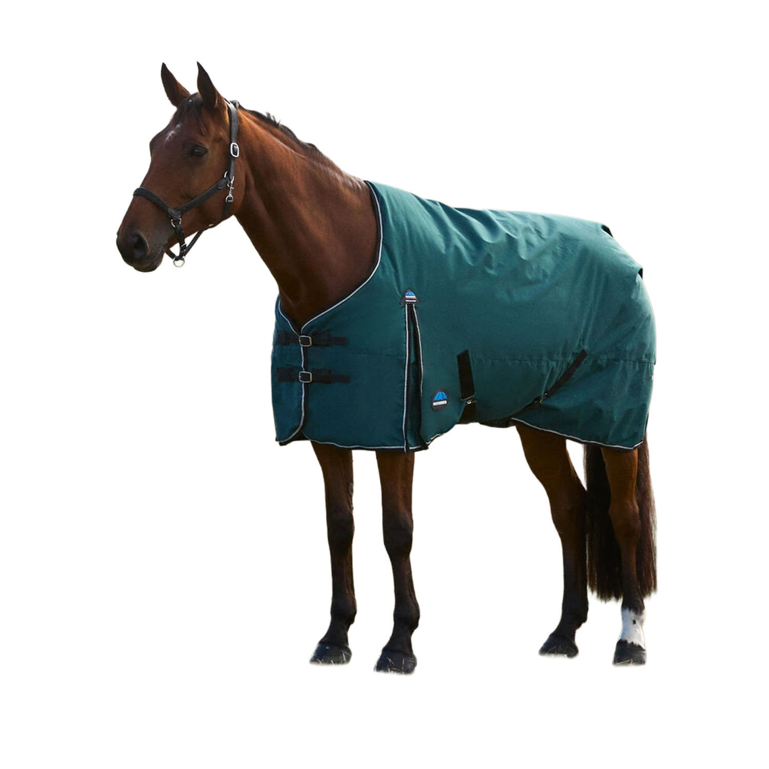 Weatherbeeta Comfitec Classic Standard-Neck 220G Horse Turnout Rug - Forest Green/Black