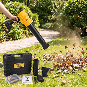 21V Cordless Leaf Blower with Battery Kit