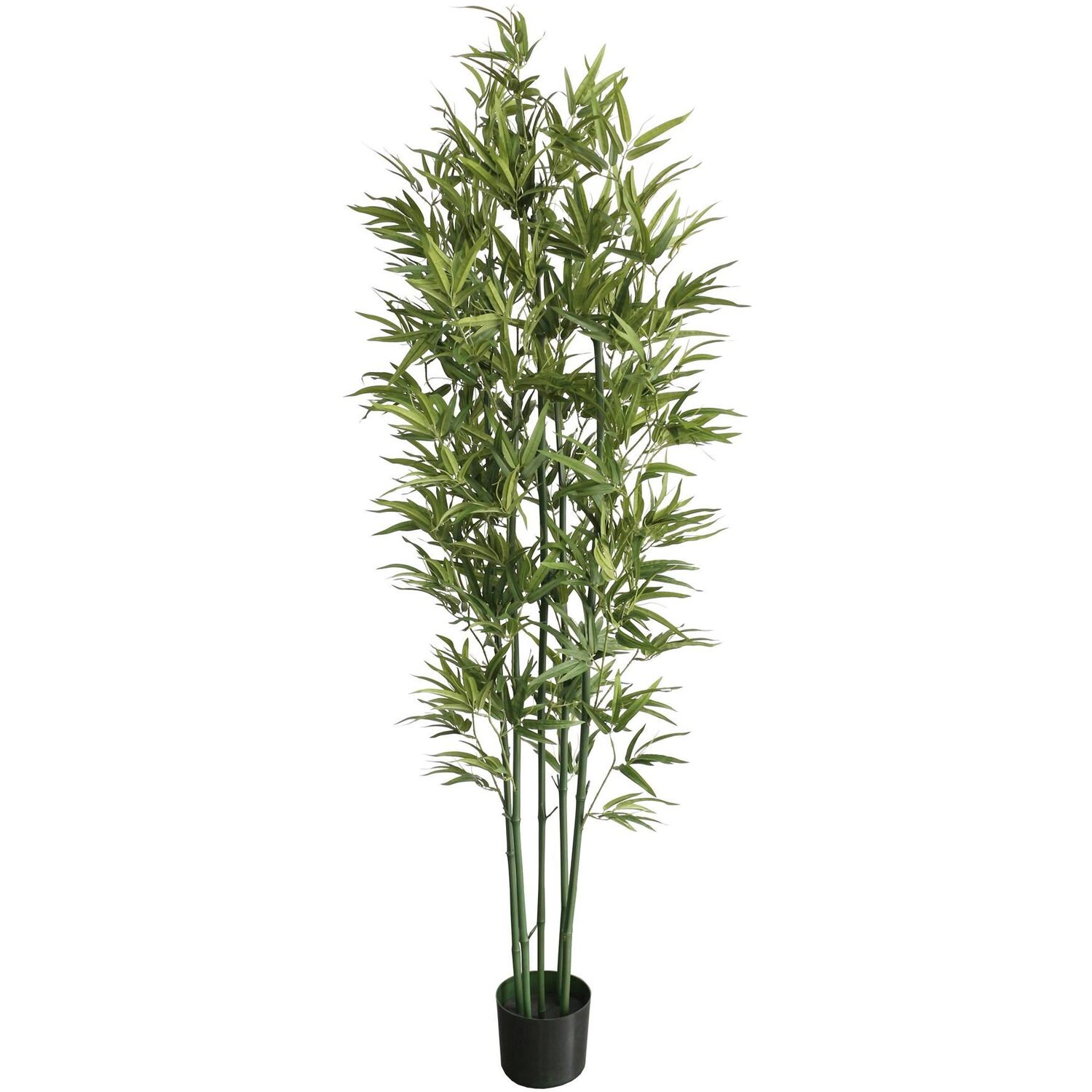 B&Q - 180Cm Natural Green Bamboo Artificial Premium - Image 2