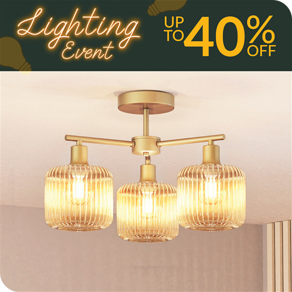 lighting event offers