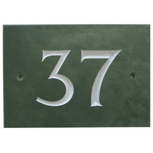  shot 739017