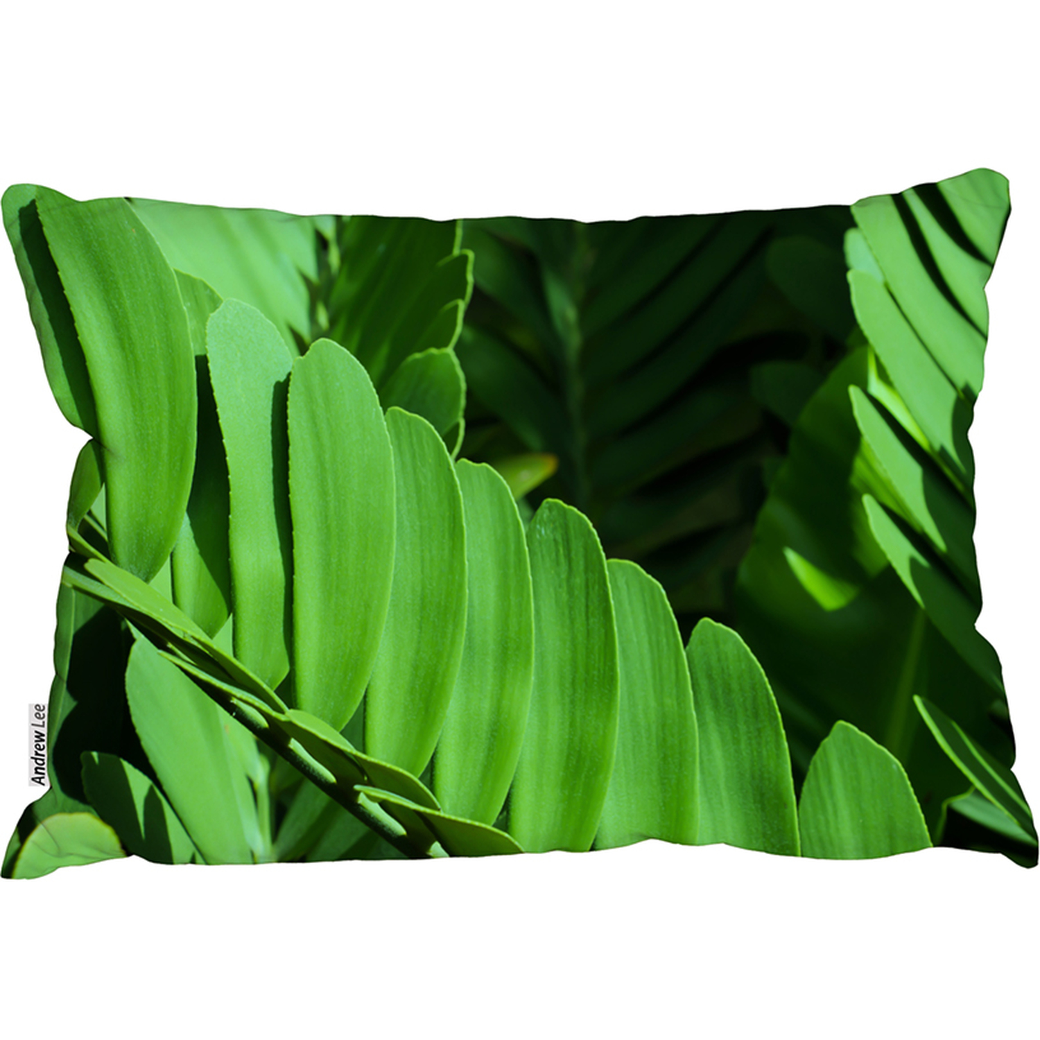 Natural Dark Green Leaves, Long Slender Green Leaves Outdoor Cushion - Green