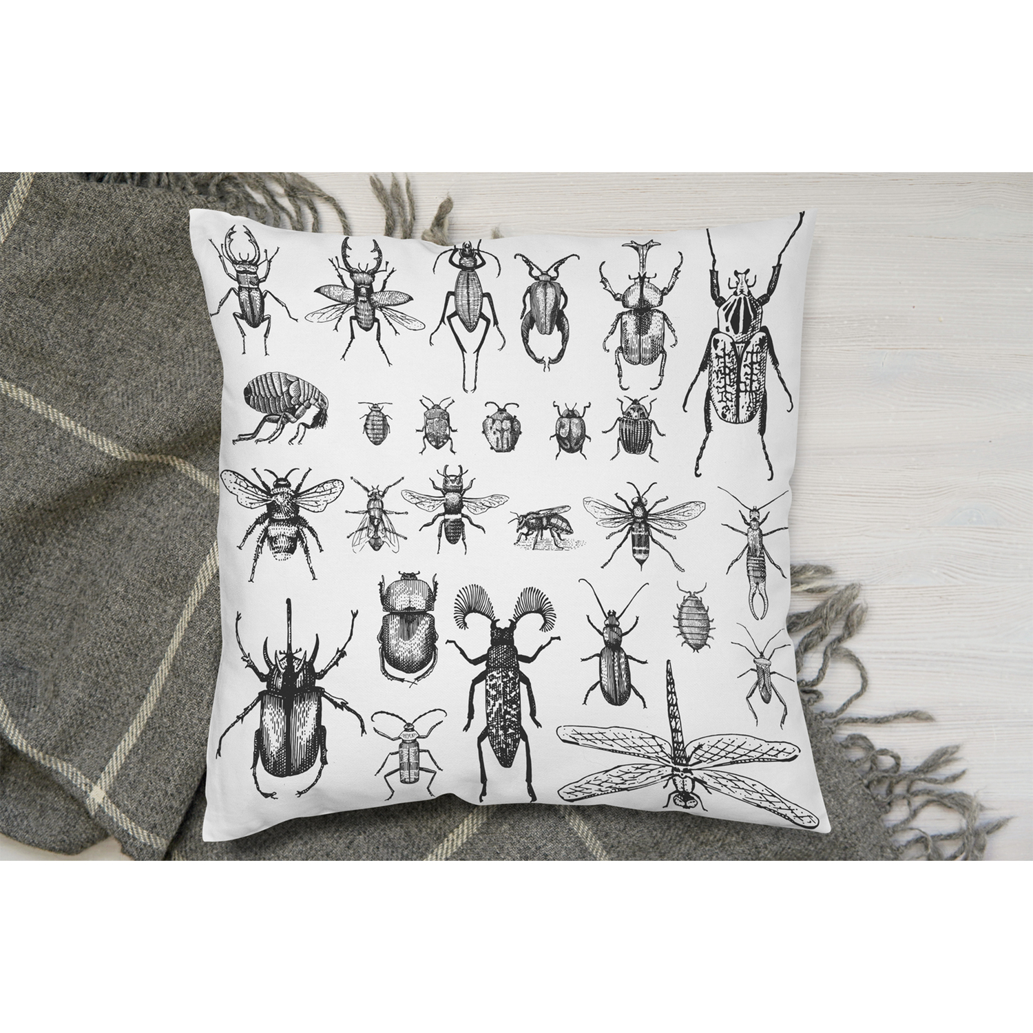 Fleas Many Species In Vintage Old Hand Drawn Style Cushion - White