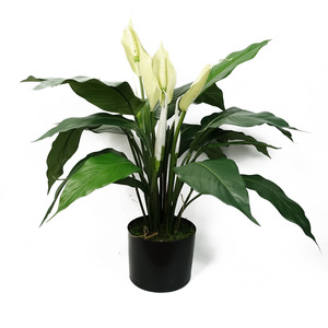 Artificial Peace Lily White Potted