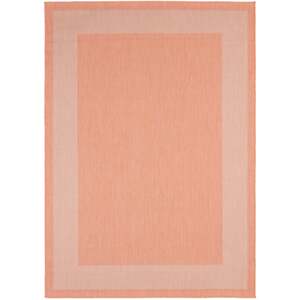  shot 5591449
