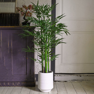  shot 5890469
