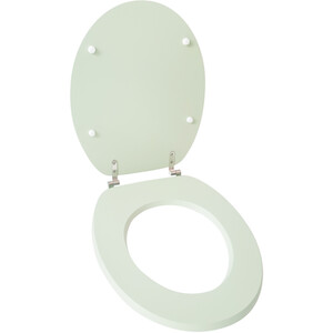 Sage Toilet Seat