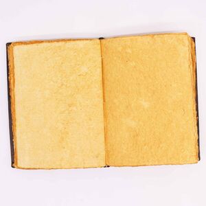 Heafty Tan Book Zinc Rose Decor 200 Deckle Edges Pages