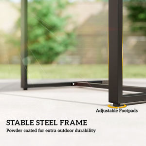  shot 12381769