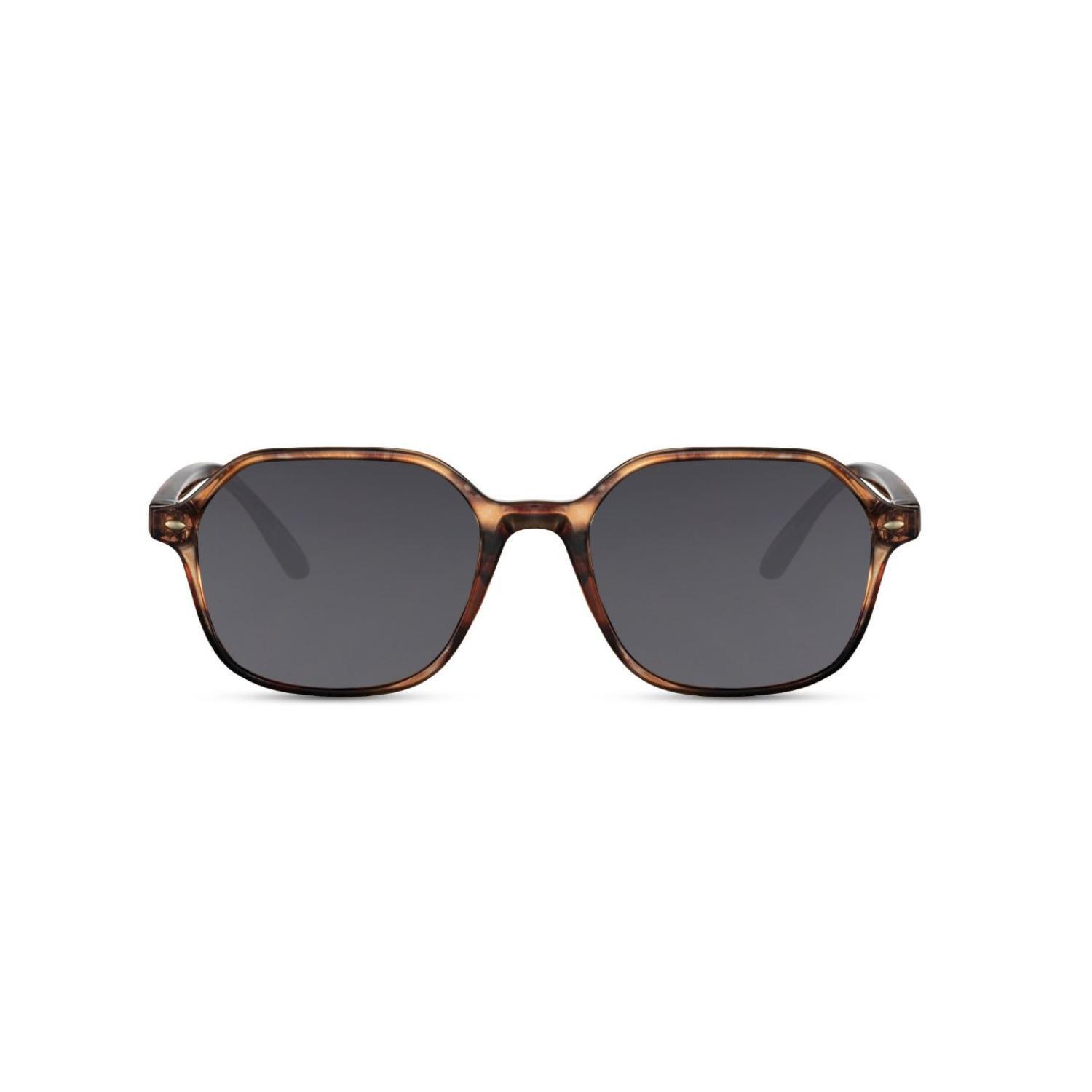 Sunglass Station Timeless Geometric Unisex Sunglasses - Classic Brown