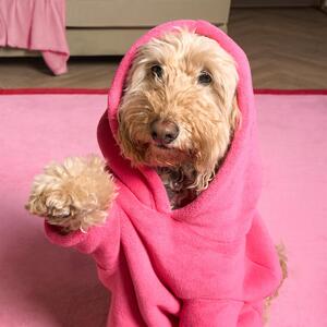 OHS Dog Hoodie Blanket