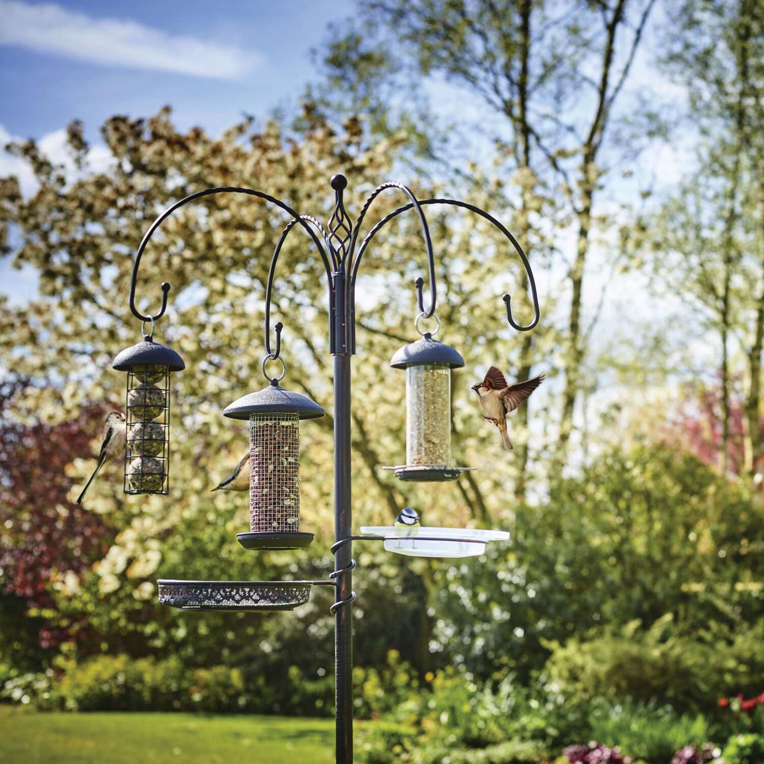 Image of Gardman Decorative Feeding Station - Black