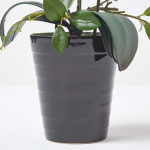  shot 2671914