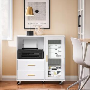 Office Filing Cabinet with Glass Door