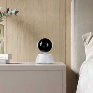 Picture of Wide Eye Smart Pet Security Camera