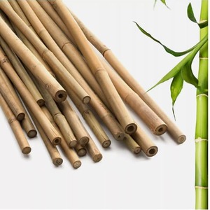 Set of 20 Plant Support Bamboo Canes