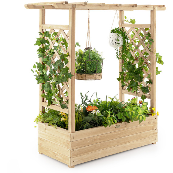 Raised Garden Bed with Arch Trellis